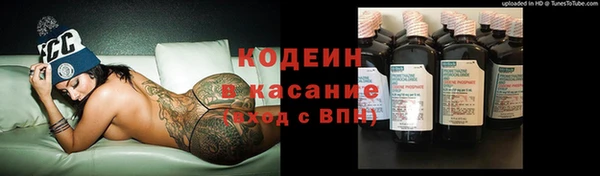 крисы Абаза
