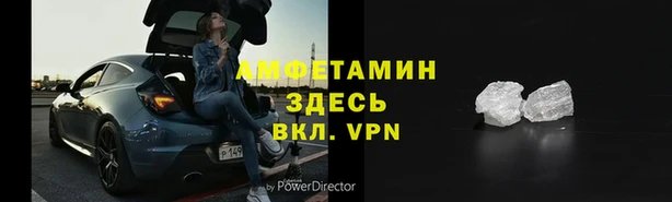 крисы Абаза