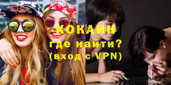 крисы Абаза