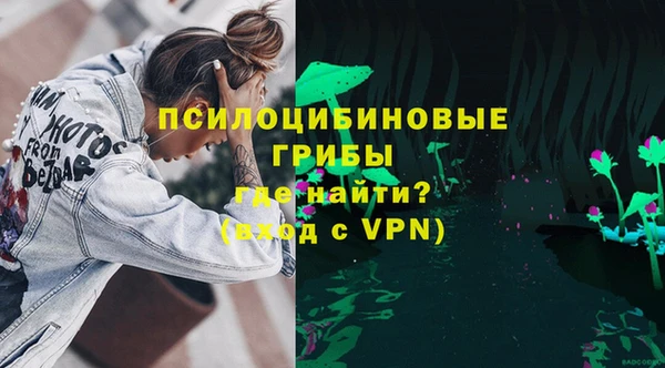 крисы Абаза